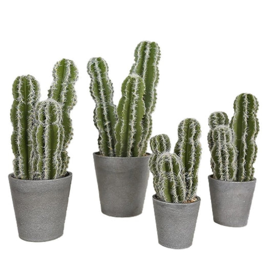 Realistic Cactus Indoor Plants