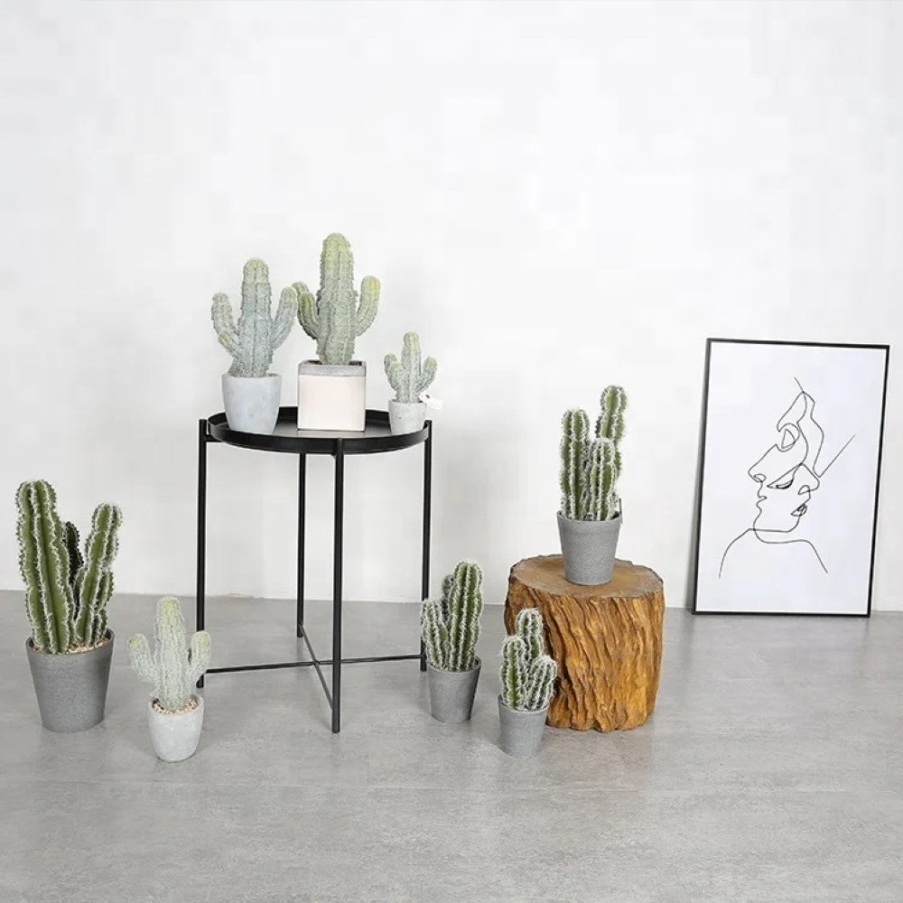 Realistic Cactus Indoor Plants