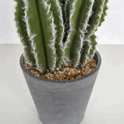 Realistic Cactus Indoor Plants