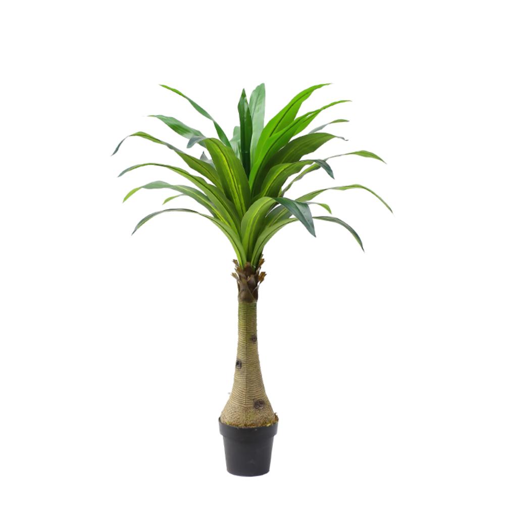 Realistic Cornstalk Dracaena Plant