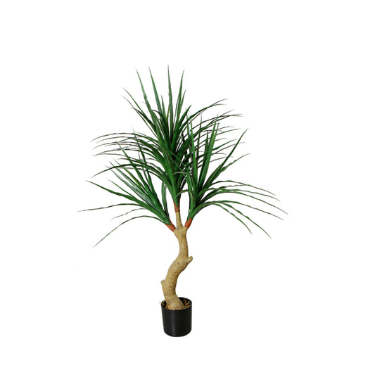 Realistic Dracaena Anita Plant