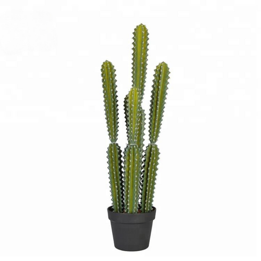 Sculptural Artificial Cactus Plant