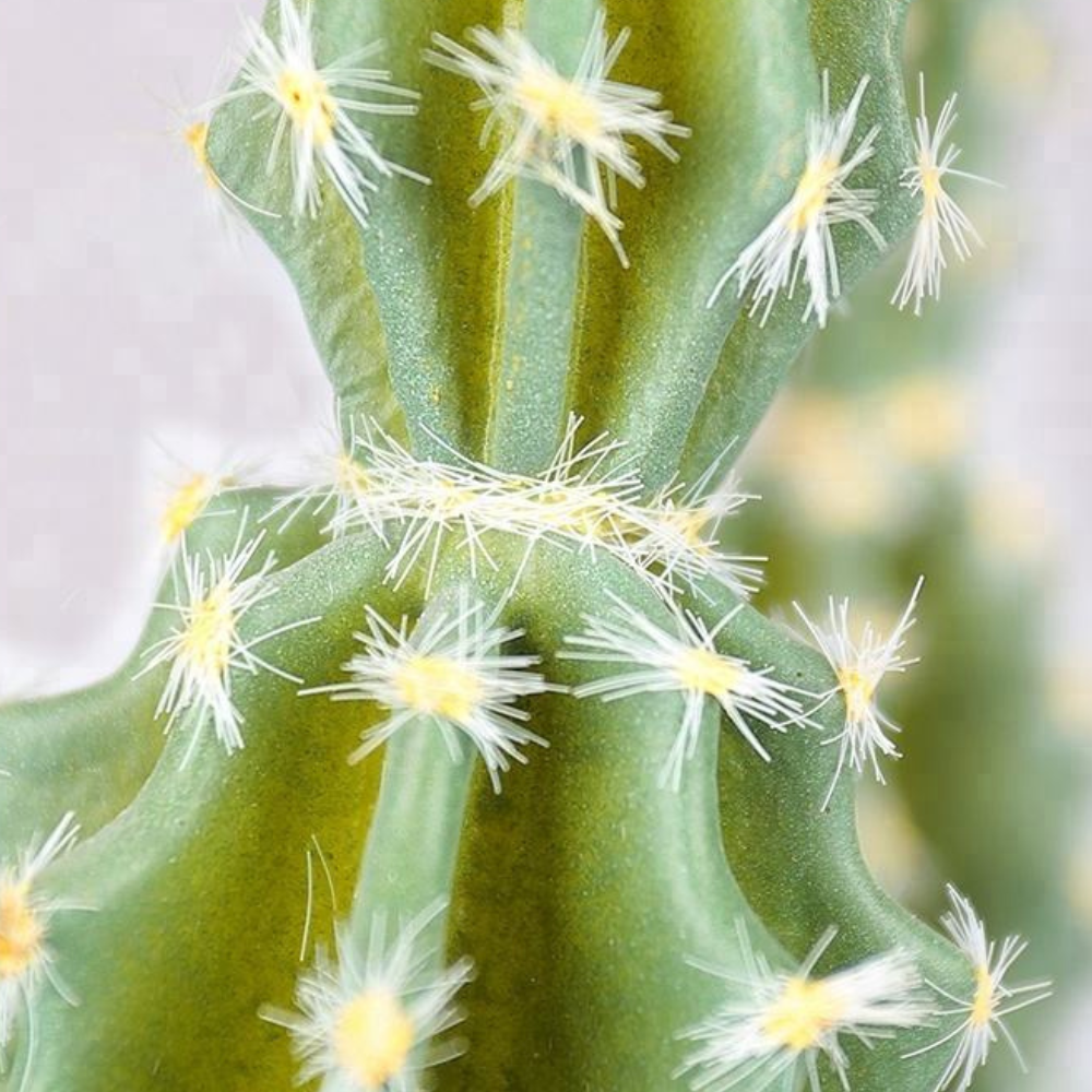 Sculptural Artificial Cactus Plant