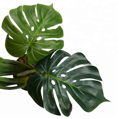 Simulated Monstera Deliciosa Bonsai