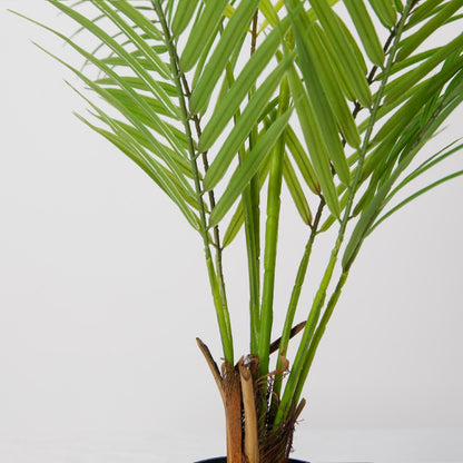 Small Artificial Areca Tree