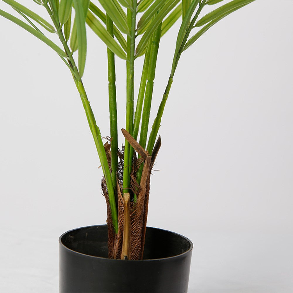 Small Artificial Areca Tree
