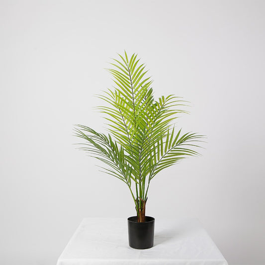 Small Artificial Areca Tree