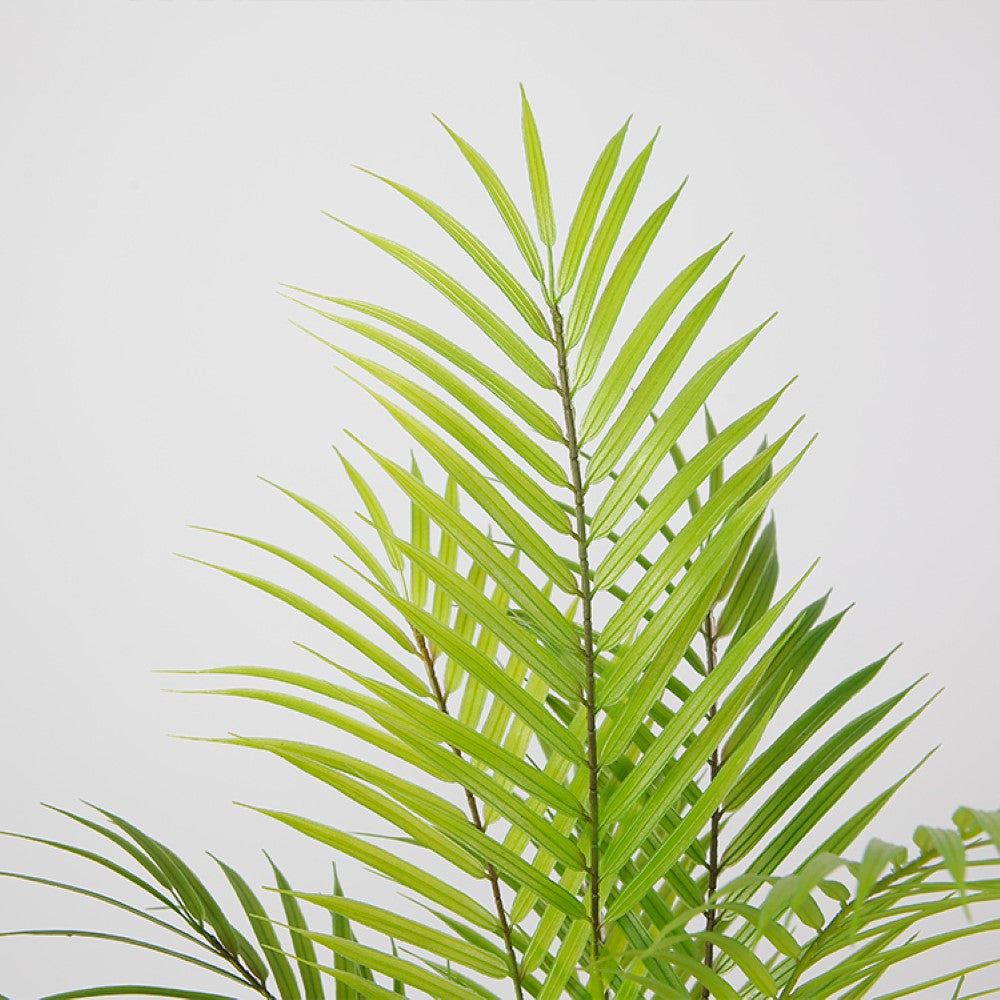 Small Artificial Areca Tree