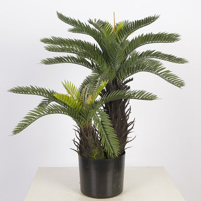 Small Artificial Cycas Tree For Home Decoration