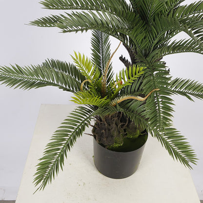 Small Artificial Cycas Tree For Home Decoration