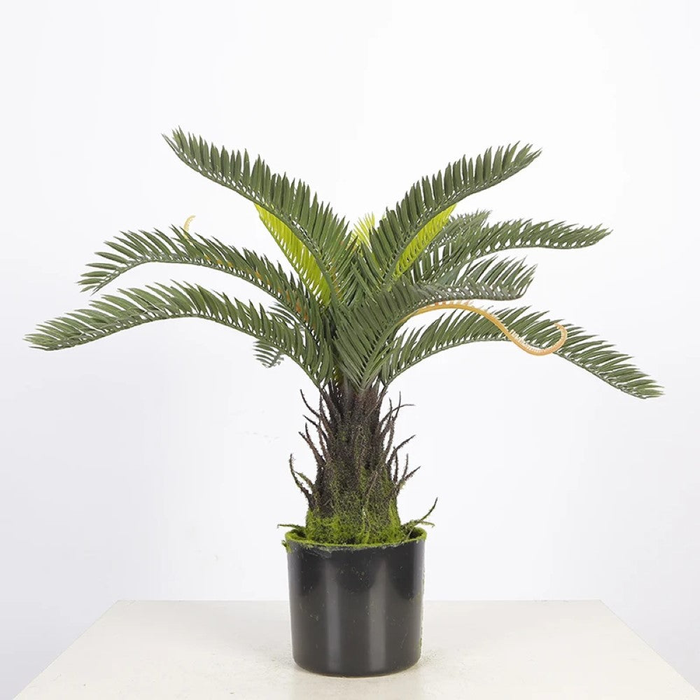 Small Artificial Cycas Plant