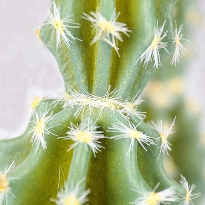 Sponge Artificial Cactus Plant