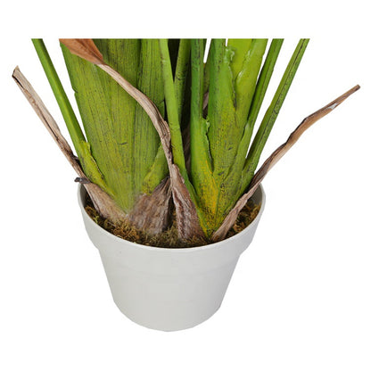 Strelitzia Artificial Plant In Pot