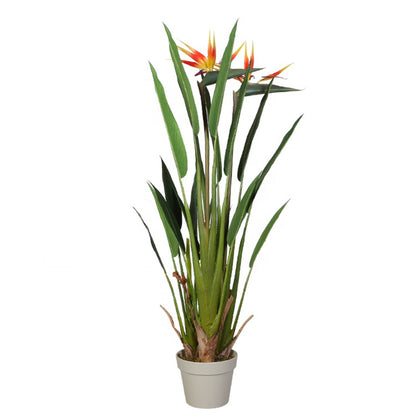 Strelitzia Artificial Plant In Pot