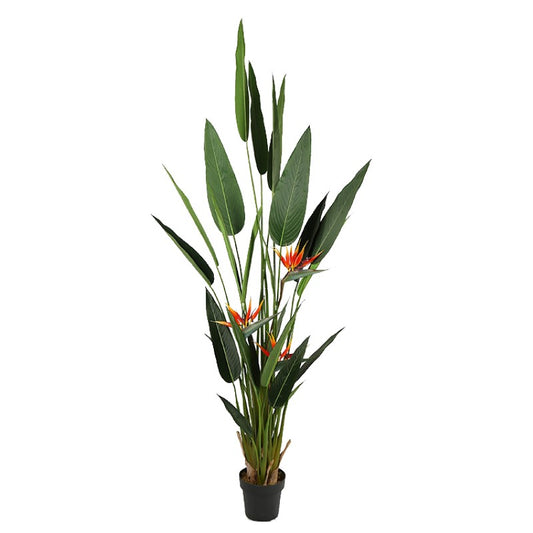 Strelitzia Reginae Artificial Tree