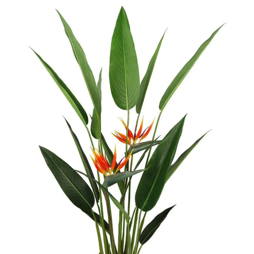 Strelitzia Reginae Bonsai Artificial Plant