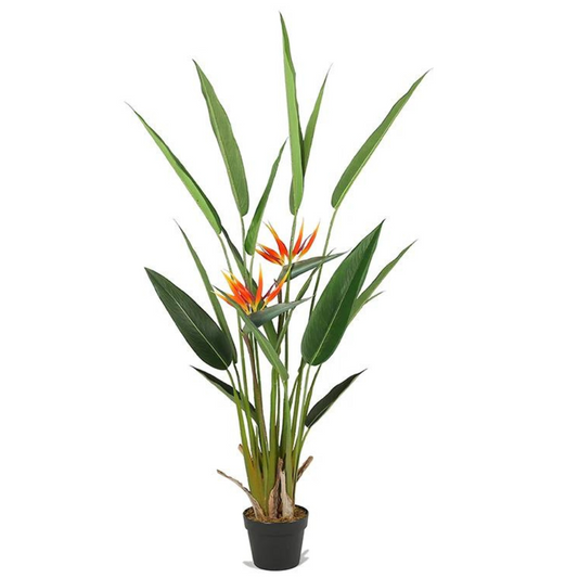 Strelitzia Reginae Bonsai Artificial Plant