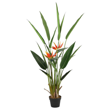 Strelitzia Reginae Home Decor Tropical Tree