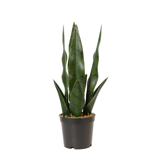 Stylized Artificial Snake Plant Tree