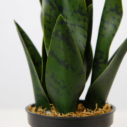 Stylized Artificial Snake Plant Tree