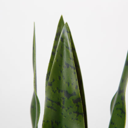 Stylized Artificial Snake Plant Tree