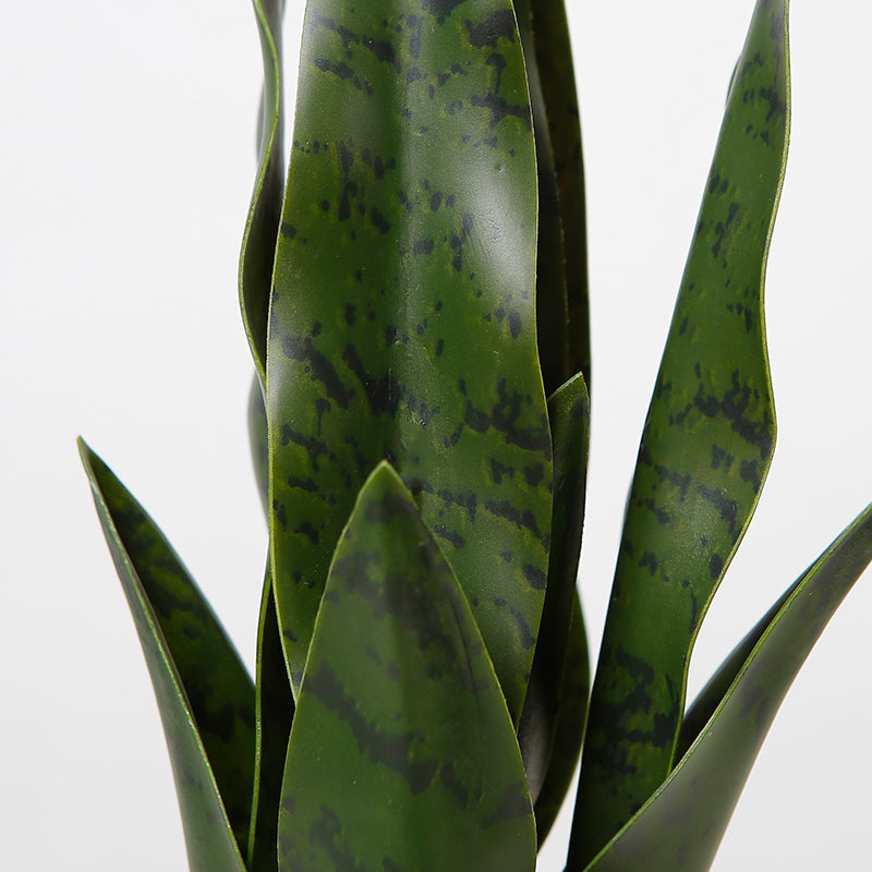 Stylized Artificial Snake Plant Tree