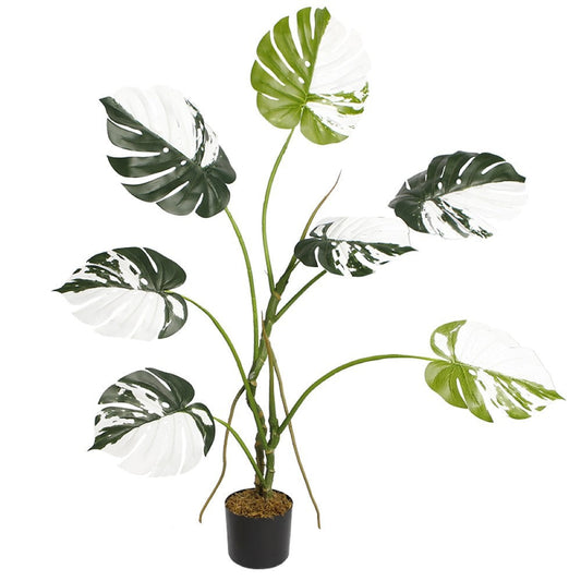 Synthetic Monstera Albo Plant Display