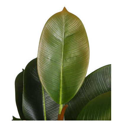 Synthetic Oak Leaf Indoor Tree