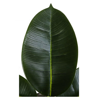 Synthetic Oak Leaf Indoor Tree