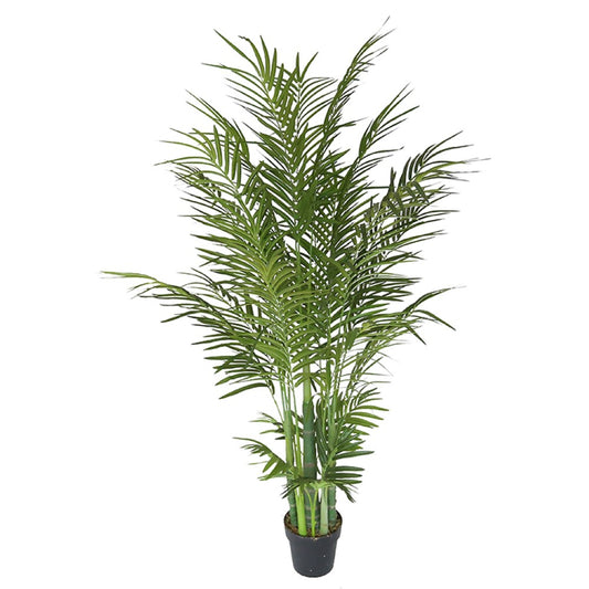 Tall Artificial Areca Tree For Indoor