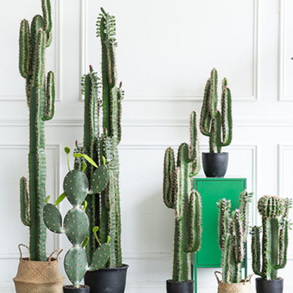 Tall Artificial Cactus Plant