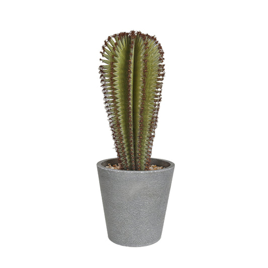 Tall Artificial Cactus Plant