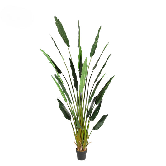 Tall Artificial Strelitzia Plant