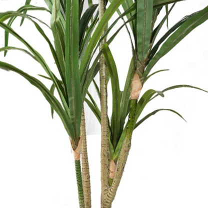 Tall Artificial Yucca Plant