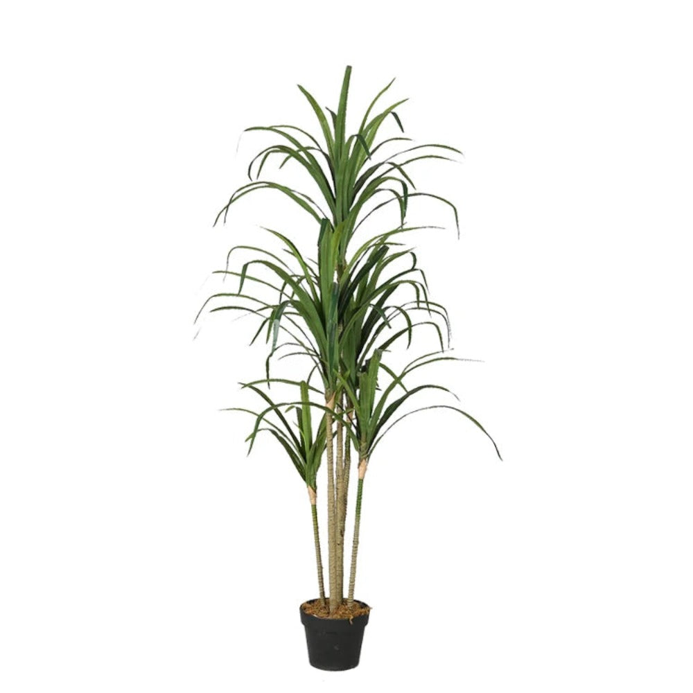 Tall Artificial Yucca Plant