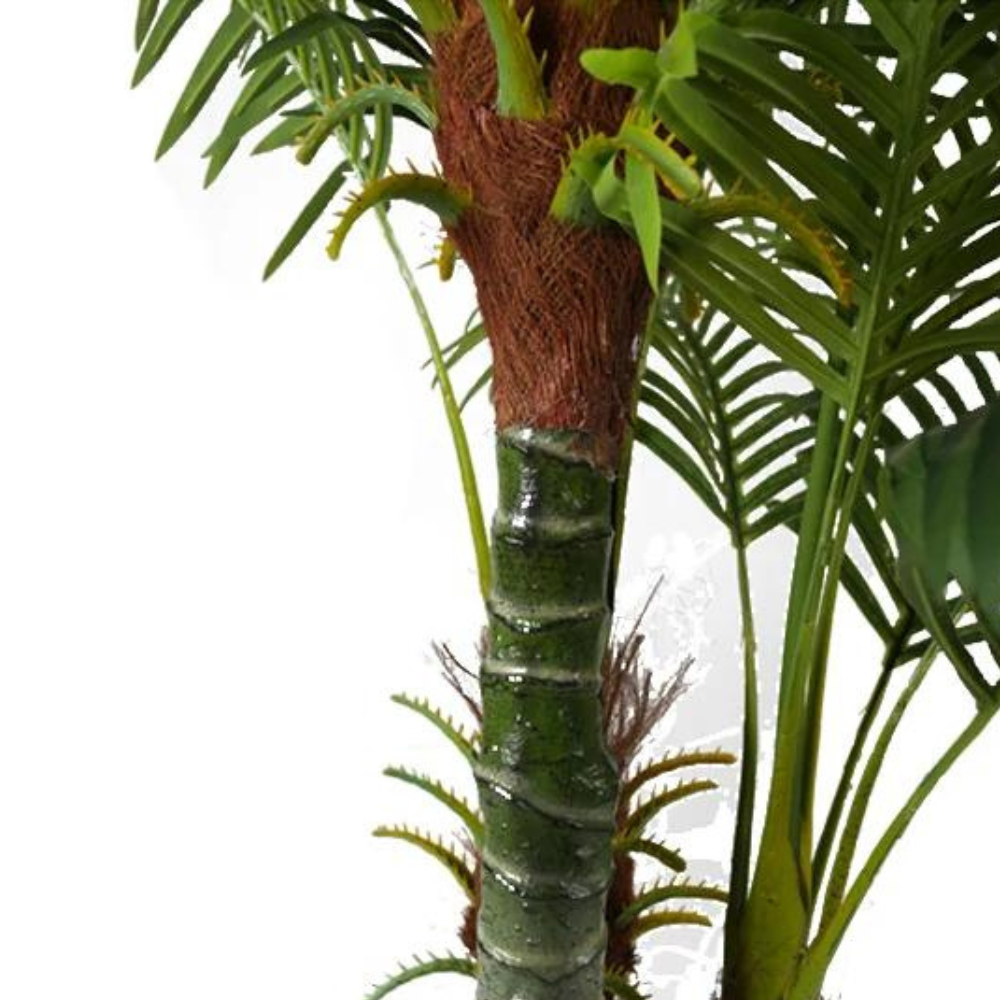 Tall Hawaii Indoor Decoration Plant