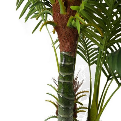 Tall Hawaii Indoor Decoration Plant