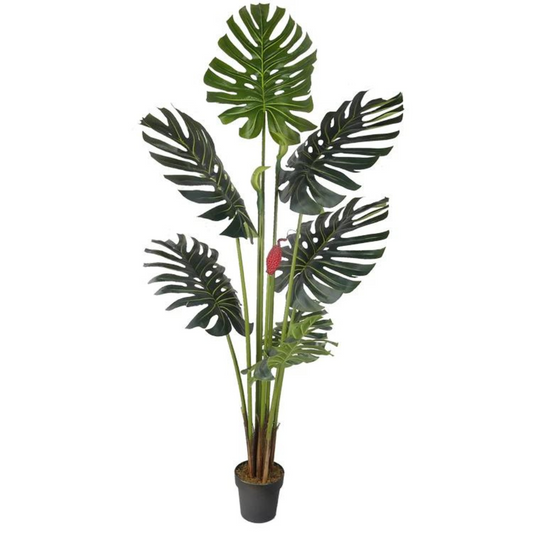 Tall Monstera Deliciosa Decorative Plant