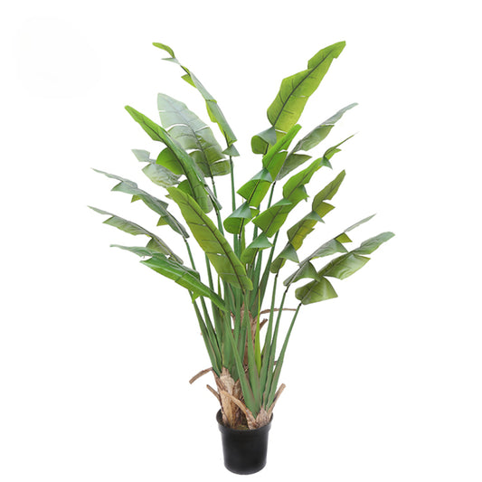 Tropical Artificial Traveler Banana Trees