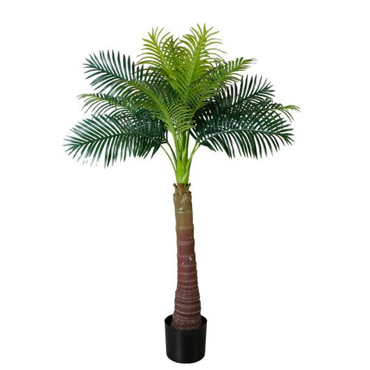 Tropical Elegance Trees