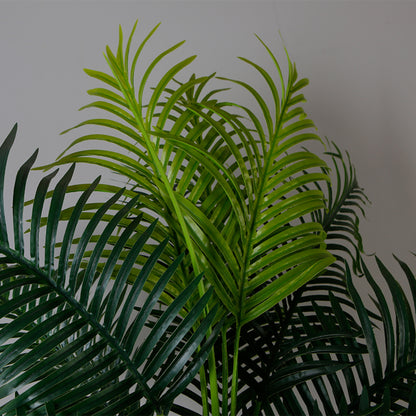 Tropical Elegance Trees