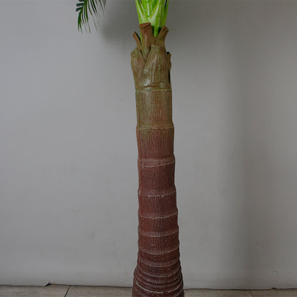 Tropical Elegance Trees