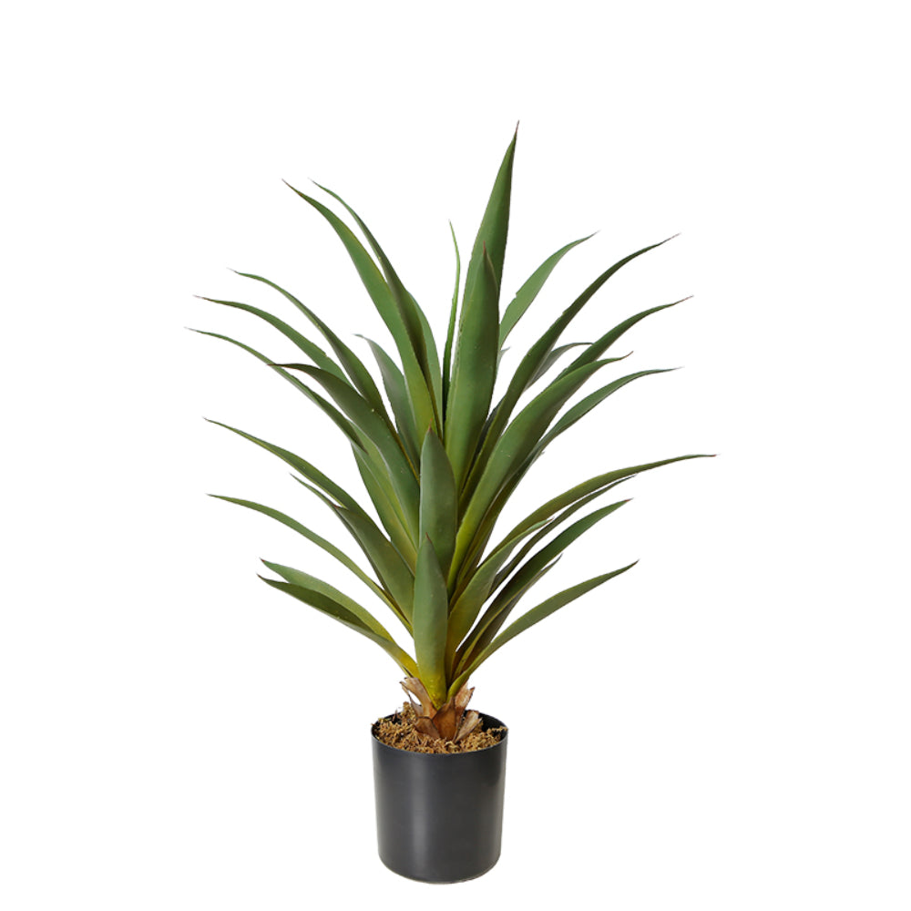 Tropical Faux Agave Plant