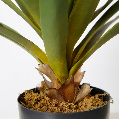 Tropical Faux Agave Plant