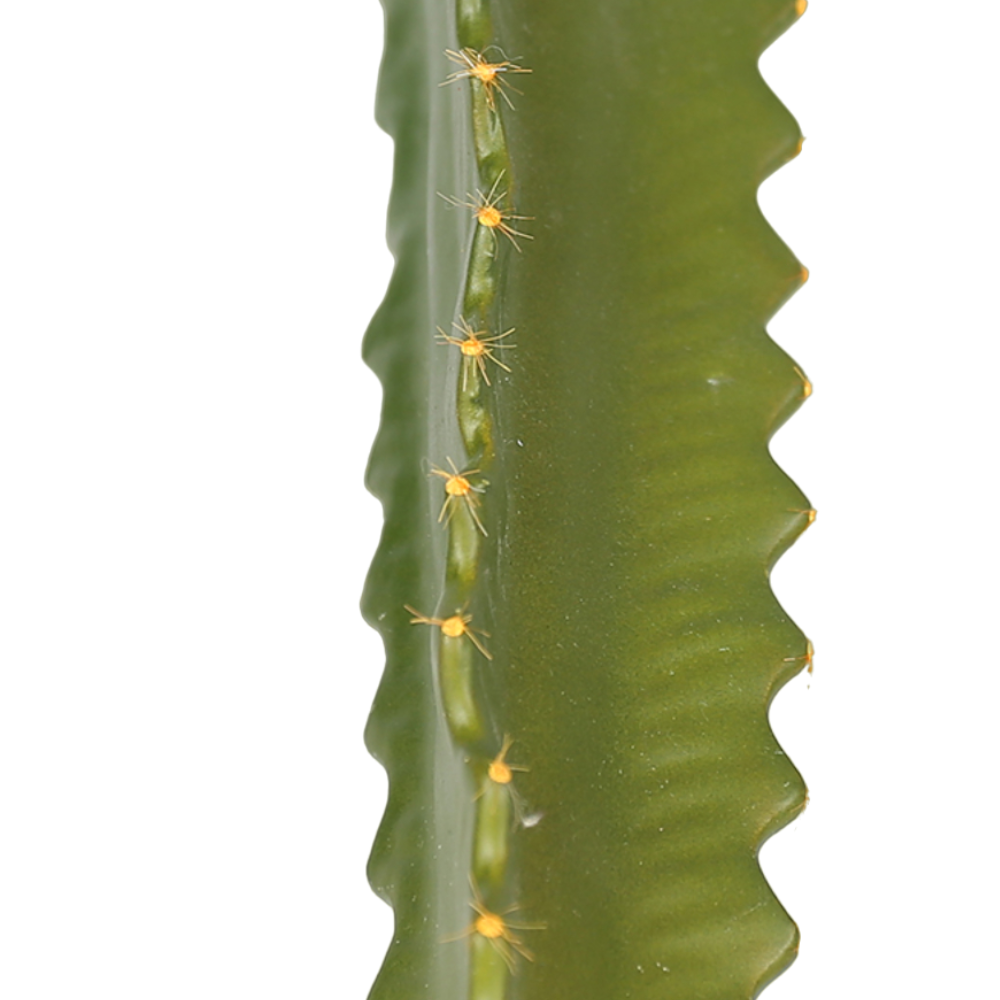 Synthetic Euphorbia Cactus