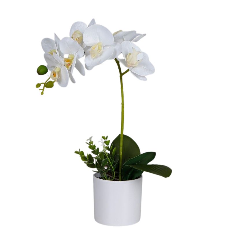 Artificial Butterfly Orchid In Decorative Pot