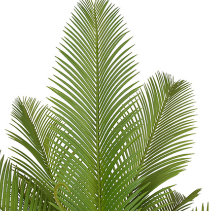 Artificial Cycad Trees