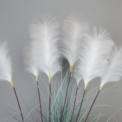 White Reed Plant