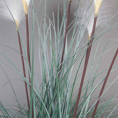 White Reed Plant