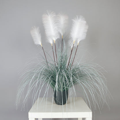 White Reed Plant